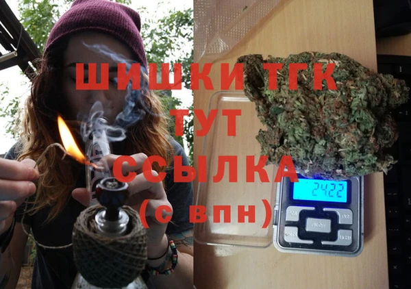 мдпв Киреевск