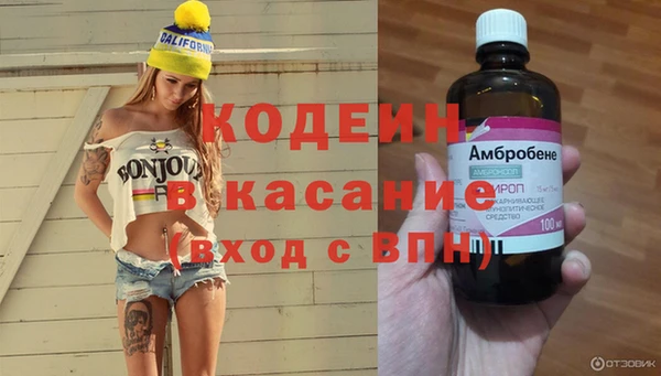 амф Козловка